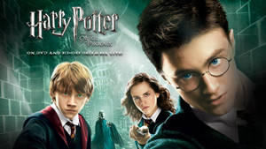 Ron Weasley - Harry Potter's Best Friend Wallpaper