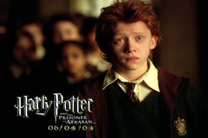 Ron Weasley Sits In A Jail Cell At Azkaban Wallpaper