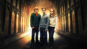 Ron Weasley With Harry Potter And Hermione Granger Wallpaper