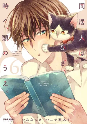 Roommate Cat - Chilling At The Patio Wallpaper