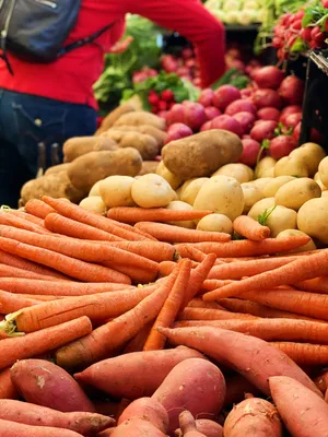 Root Crops Sweet Potato Wallpaper