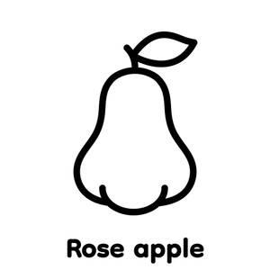 Rose Apple Drawing Wallpaper