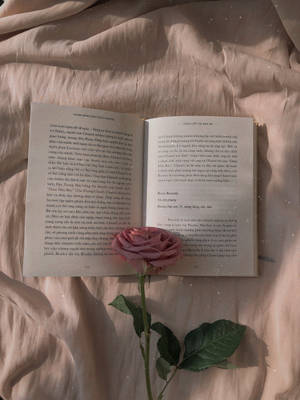 Rose Gold Aesthetic Book Wallpaper