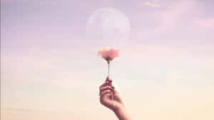 Rose Gold Flower Laptop Wallpaper