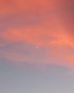 Rose Gold Tumblr Crescent Moon Wallpaper