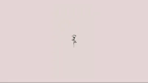Rose In Nude Pink Basic Wallpaper