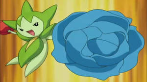 Roselia Blue Flower Attack Wallpaper