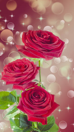 Roses And Sparkles Flower Mobile Wallpaper