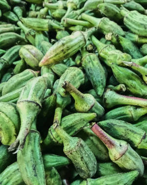 Rotten Small Green Okra Wallpaper