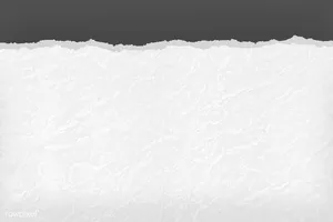 Rough Edge White Torn Paper Wallpaper