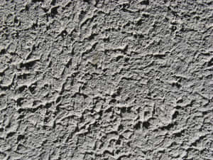 Rough Texture Rugged Coarse Concrete Finish Wallpaper