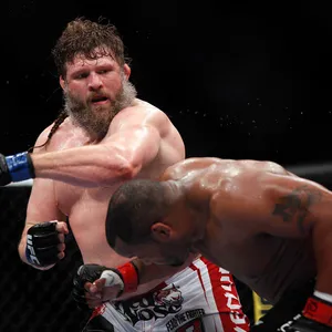 Roy Nelson Punches Antonio Rodrigo Nogueira Wallpaper