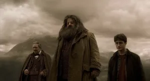 Rubeus Hagrid At Aragog's Funeral Wallpaper