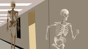 Running Away Skeleton Meme Wallpaper