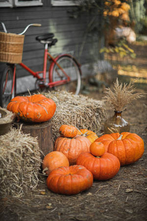 Rustic Fall Pumpkins And Hay Wallpaper