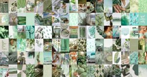 Sage Green Aesthetic Collage Wallpaper