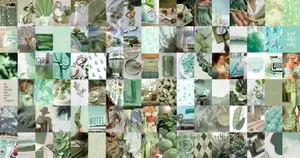 Sage Green Aesthetic Collage Wallpaper