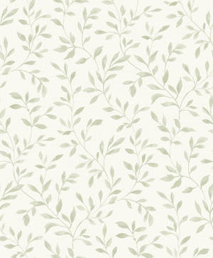 Sage Green Aesthetic Vines Wallpaper