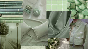 Sage Green Inspiration Wallpaper