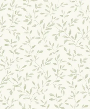 Sage Green Leaves Pattern Wallpaper