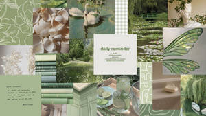 Sage Green Mood Aesthetic Collage Laptop Wallpaper