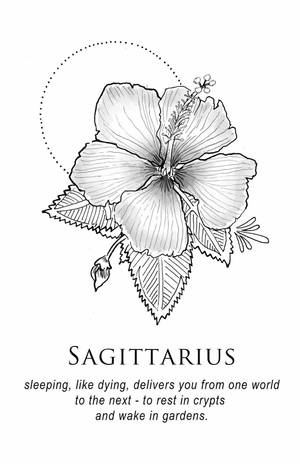 Sagittarius Zodiac Hibiscus Flower Wallpaper