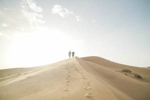 Sahara Sand Dunes Adventure Wallpaper
