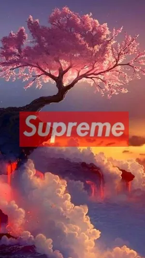 Sakura Tree Orange Supreme Clouds Wallpaper