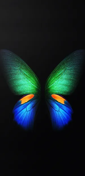 Samsung Galaxy S10 Plus Powers Creativity With Its Butterfly Wings Design Wallpaper