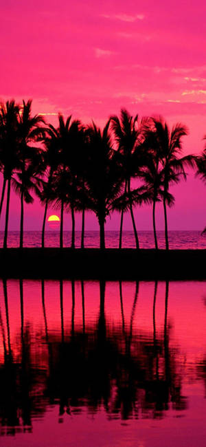 Samsung Galaxy S22 Beach Sunset Wallpaper