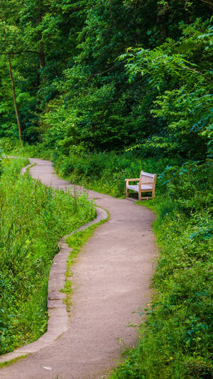 Samsung Galaxy S7 Edge Bench On A Trail Wallpaper