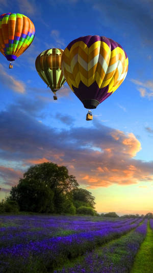 Samsung Galaxy S7 Edge Hot Air Balloons Wallpaper