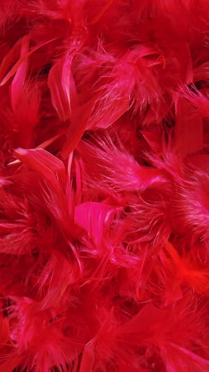 Samsung Galaxy S7 Edge Red Feathers Wallpaper