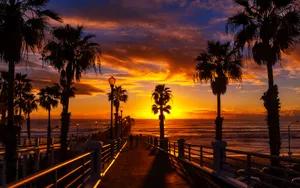 San Diego California Sunset Wallpaper