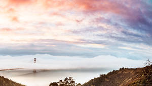 San Francisco’s Golden Gate Bridge Lit Up At Night – A Perfect Accompaniment To Your New Macbook. Wallpaper