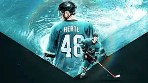 San Jose Sharks Tomas Hertl Wallpaper