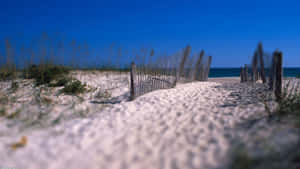 Sand Beach New England Summer Wallpaper