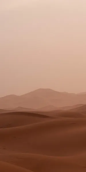 Sand Beige Aesthetic Phone Wallpaper