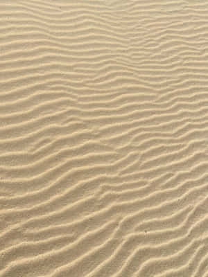 Sand Ripple Formation Wallpaper