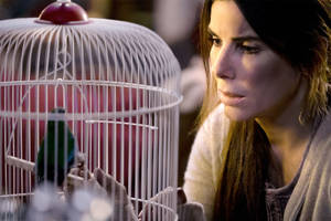 Sandra Bullock Staring At Bird Cage Wallpaper