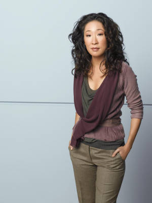 Sandra Oh Abc's Grey's Anatomy Wallpaper