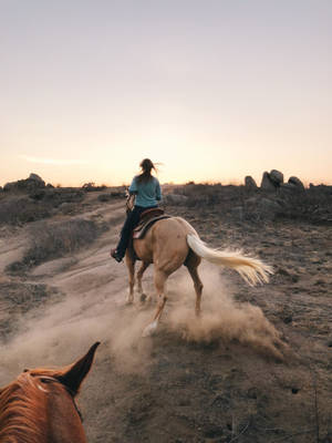 Sandy Ride Horse Iphone Wallpaper