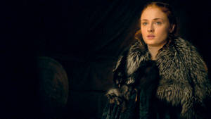 Sansa Stark Battle Of Bastards Wallpaper