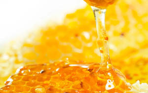 Sappy Raw Honey Wallpaper