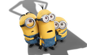 Scared Cute Minion Wallpaper