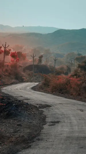 Scenic Rural Road Wallpaper