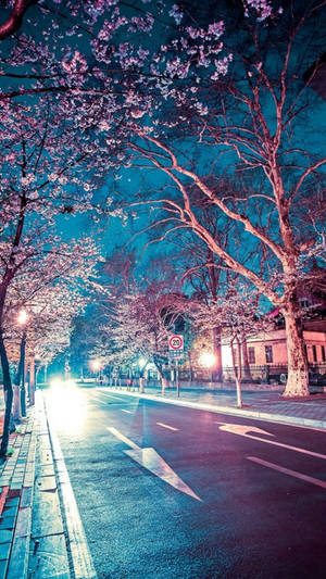 Scenic View Of A Paved Street In An Anime-inspired Japanese City Wallpaper