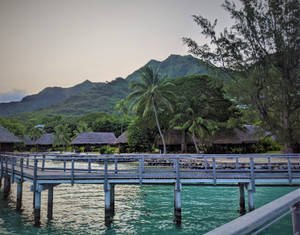 Scenic Wooden Bridge In French Polynesia Wallpaper