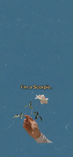 Scorpio Hand Holding Rose Wallpaper