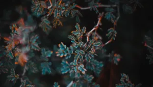 Seascape In Warm Tones Of Orange And Teal Wallpaper